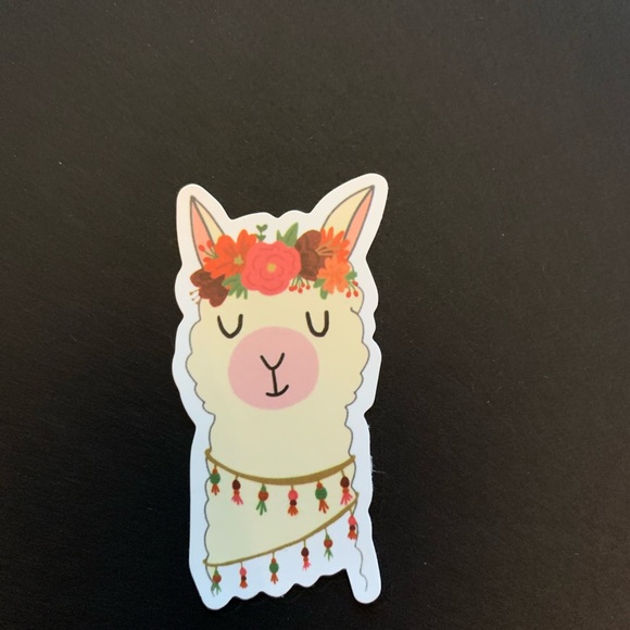 My Llama craze - Picture 4 of 7